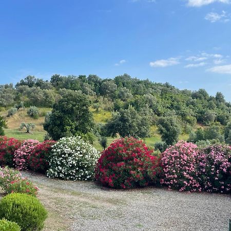 Tenuta Montemassi Podere Montauzzo المظهر الخارجي الصورة